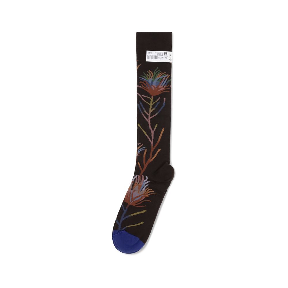 Bonne Maison Black Cotton Socks