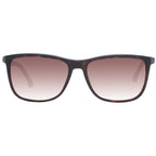 Police Brown Men Sunglass
