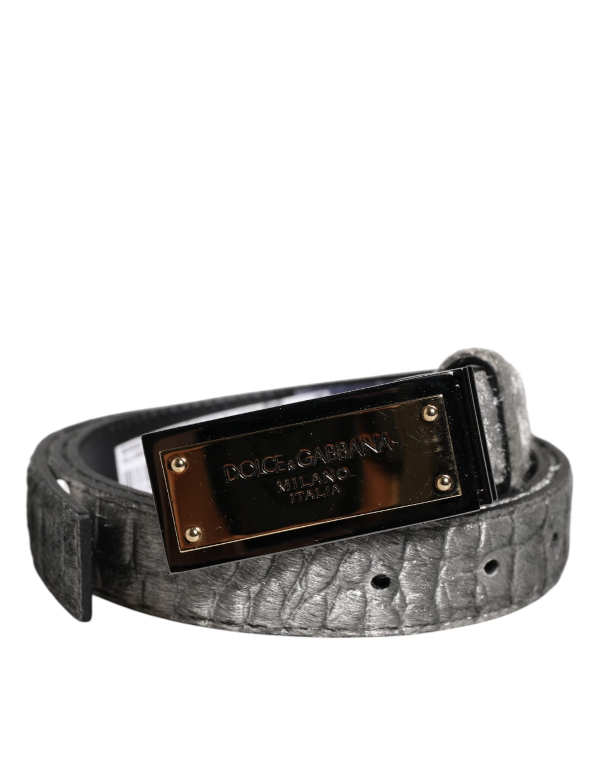 Dolce & Gabbana Silver Classic Gold Logo Plaque Buckle Belt