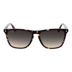 Web Brown Men Sunglass