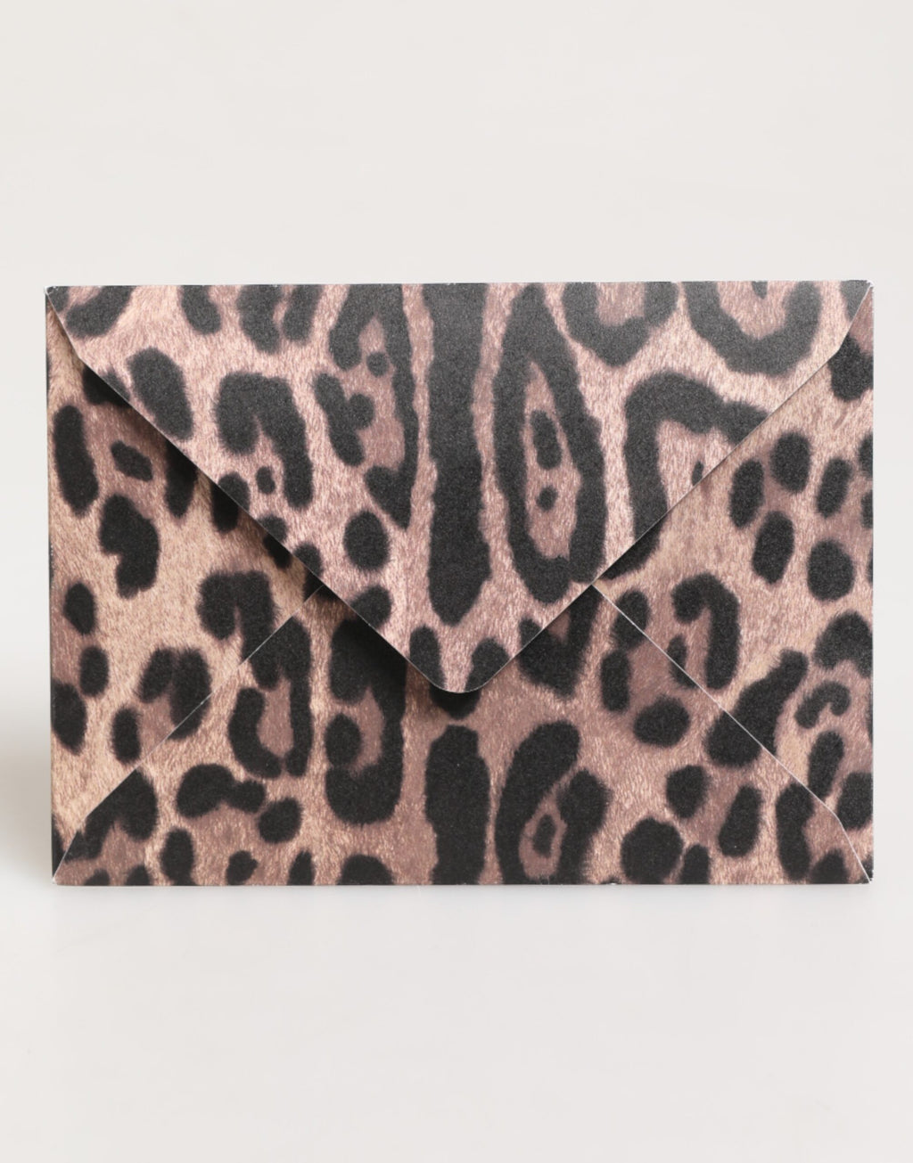 Dolce & Gabbana Multicolor Leopard Print Envelope Paper Post Card Holder